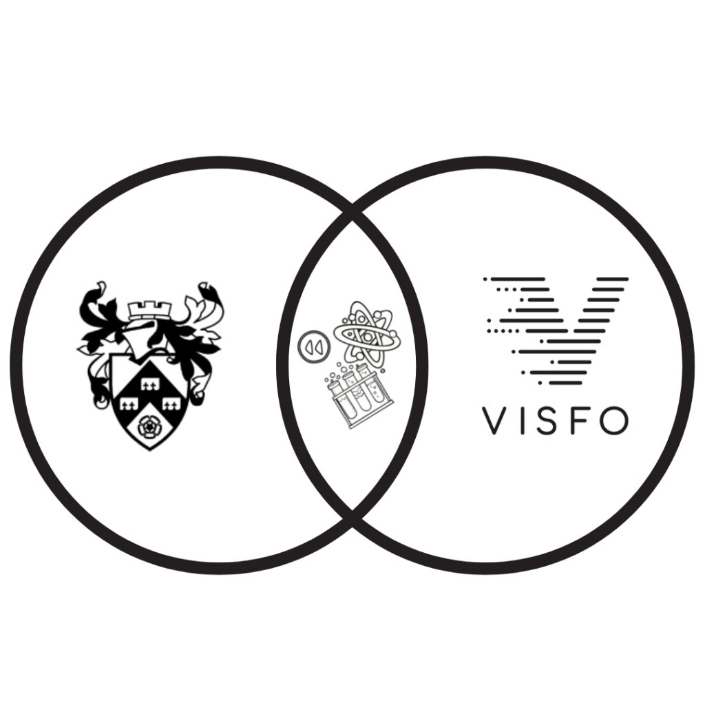 VISFO widens participation with a new scholarship programme for undergraduate students at York